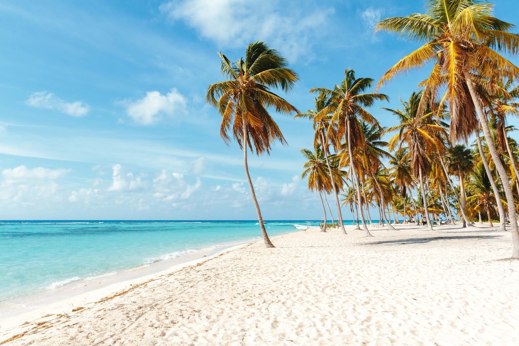 Travel Vaccinations for Thailand: What You Need Before You Go